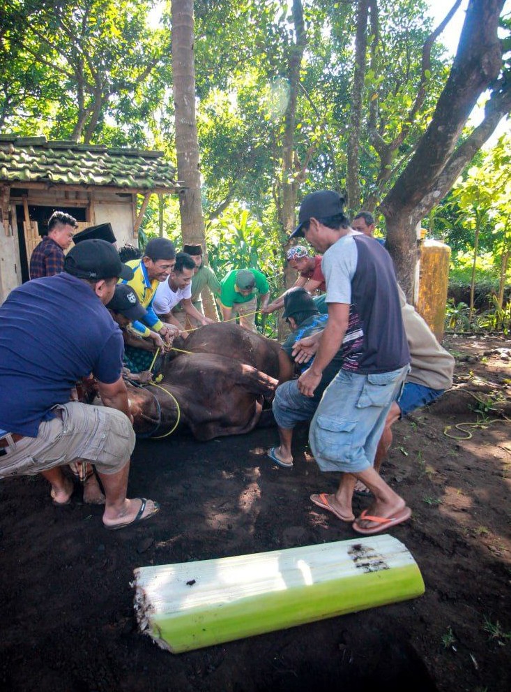 Woman holding donation box