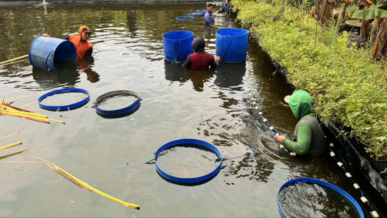 Woman holding donation box